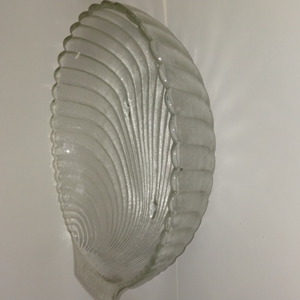 scallop bowl large